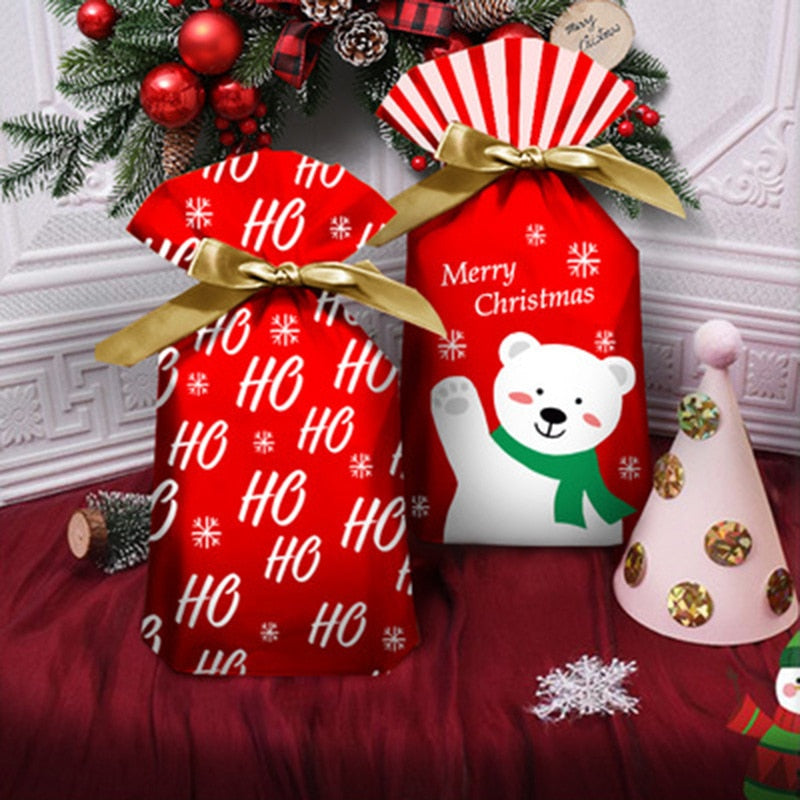 Merry Christmas Candy Gift Bag