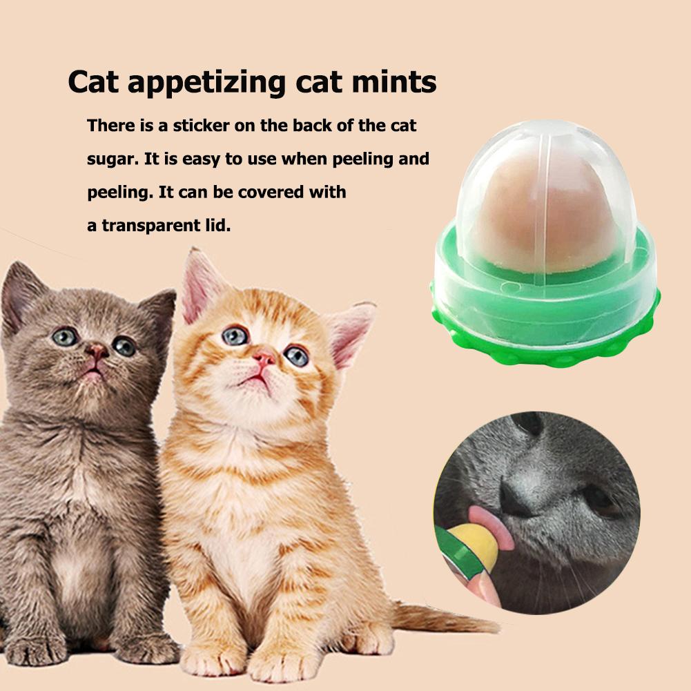 Candy Licking Solid Nutrition Ball