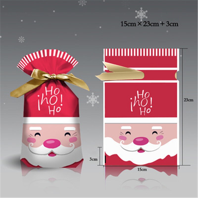 Merry Christmas Candy Gift Bag