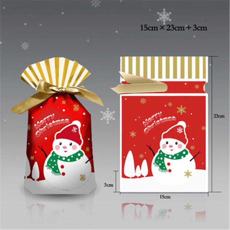 Merry Christmas Candy Gift Bag