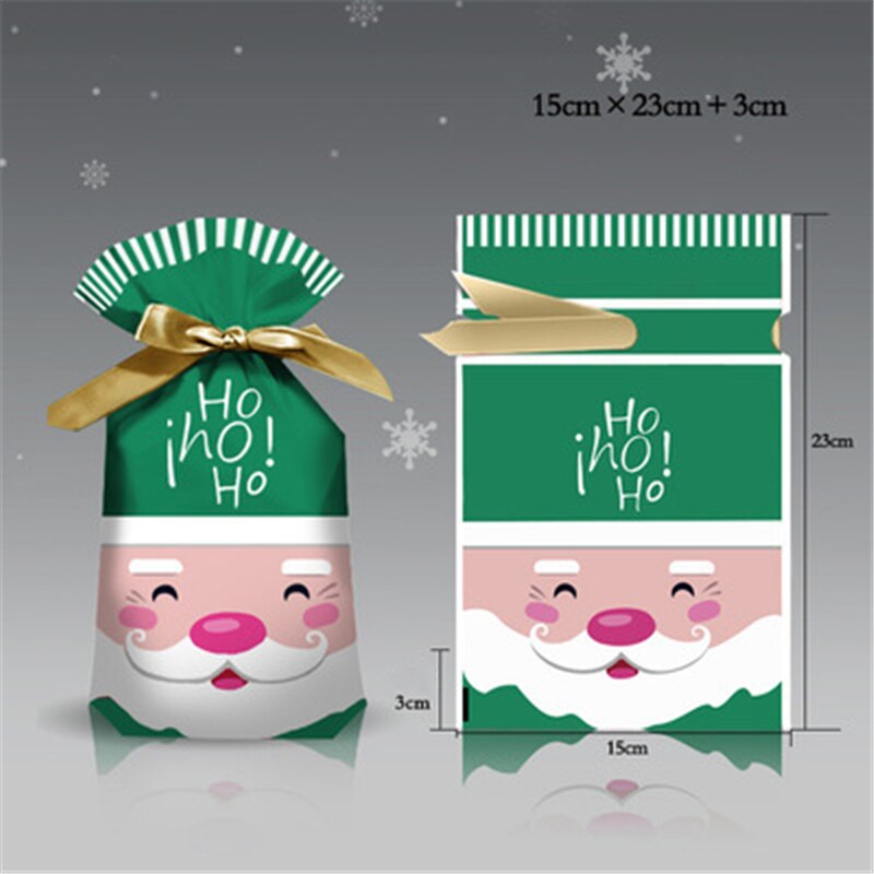 Merry Christmas Candy Gift Bag