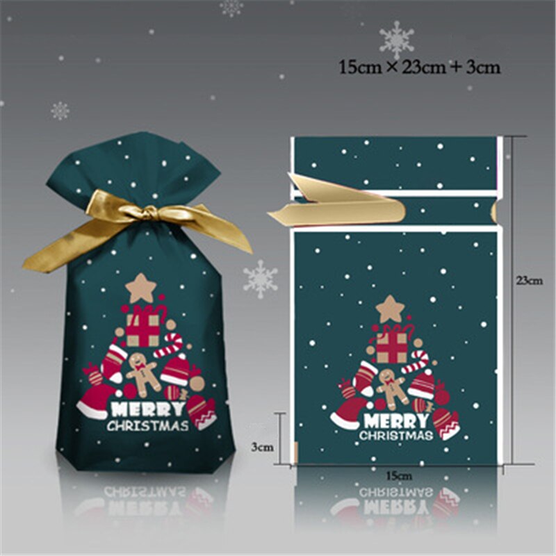 Merry Christmas Candy Gift Bag