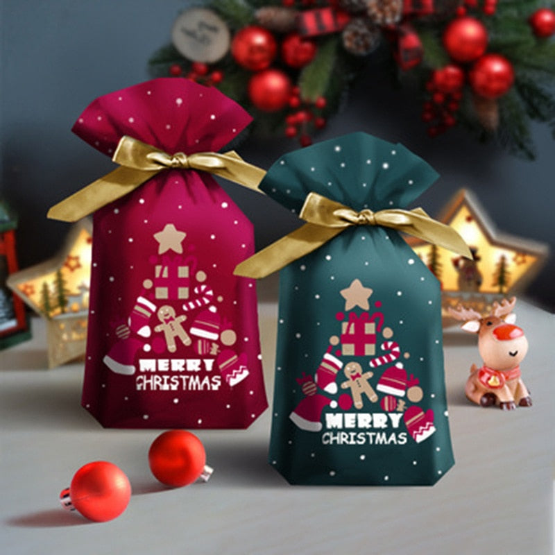 Merry Christmas Candy Gift Bag