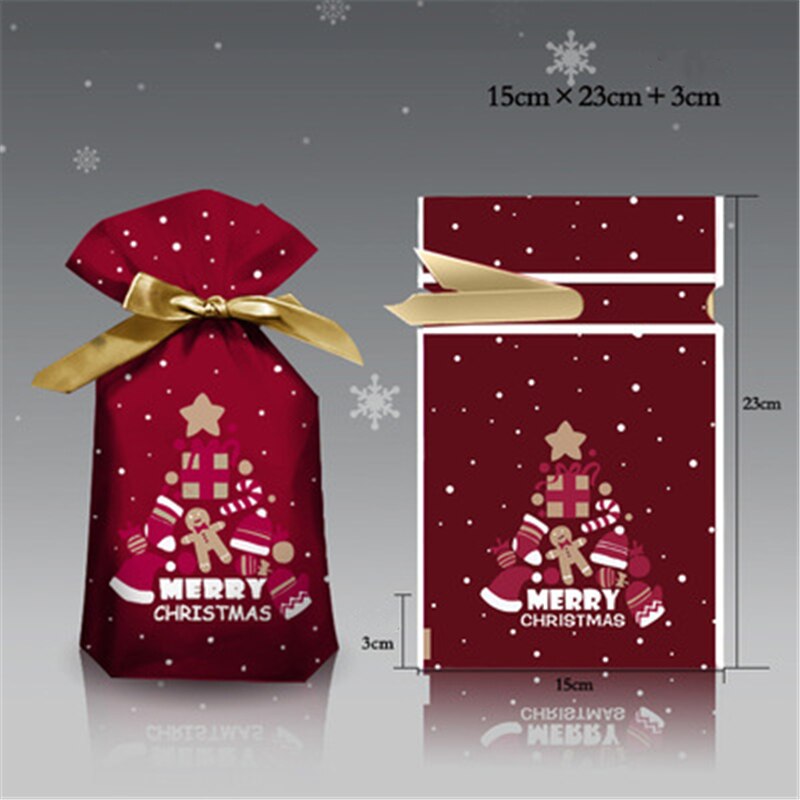 Merry Christmas Candy Gift Bag