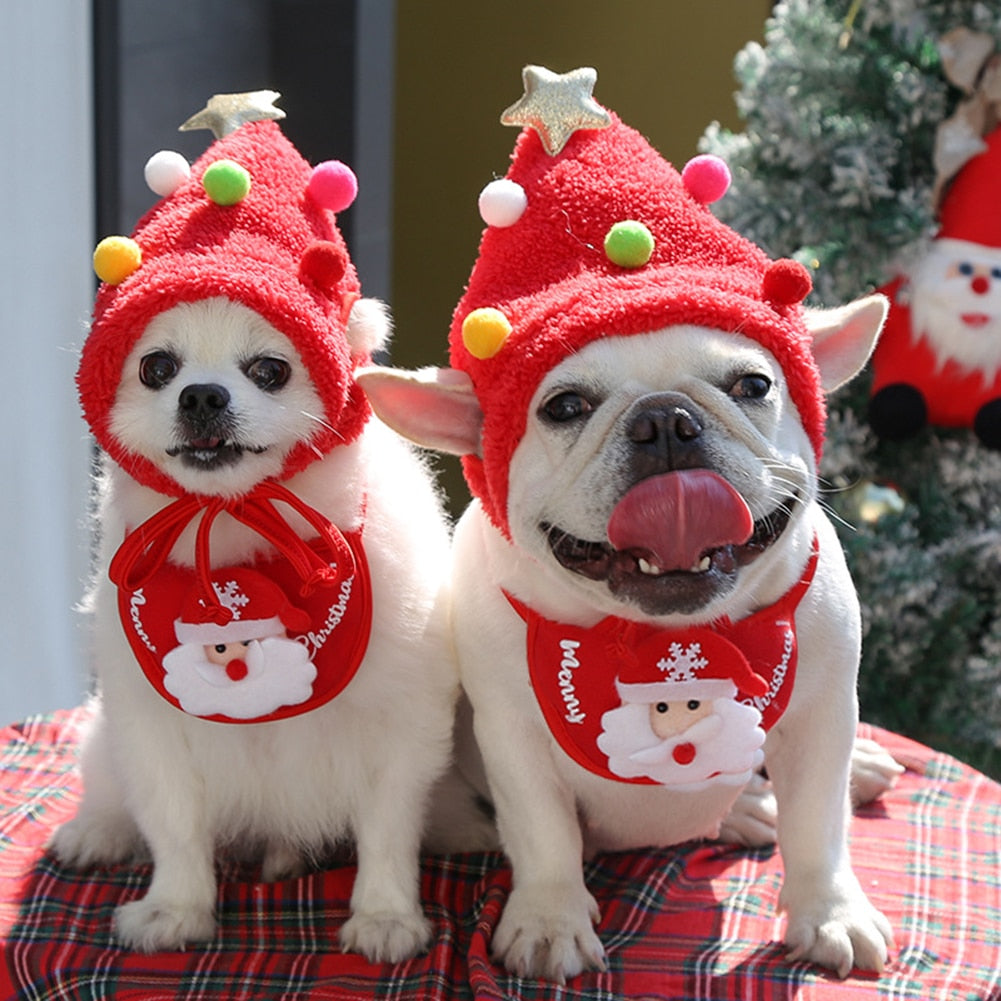 Pet Clothes Christmas